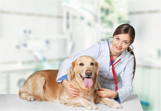 Beautiful young veterinarian with a dog on a white background