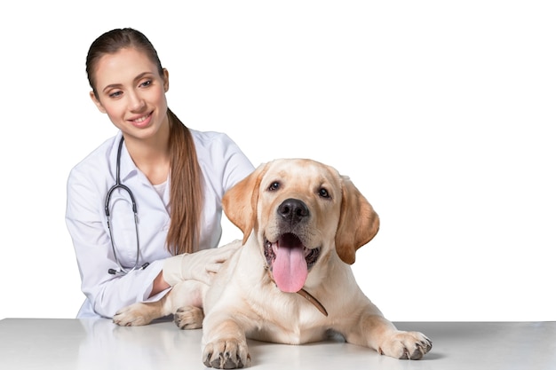 Beautiful young veterinarian with a dog on a white background