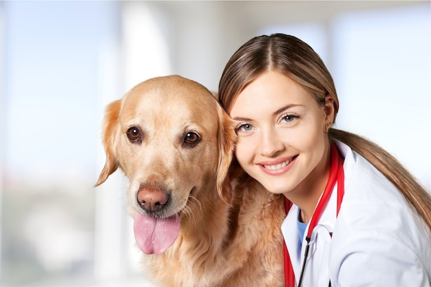 白い背景の上の犬と美しい若い獣医