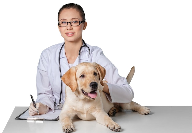 Beautiful young veterinarian with a dog on a white background