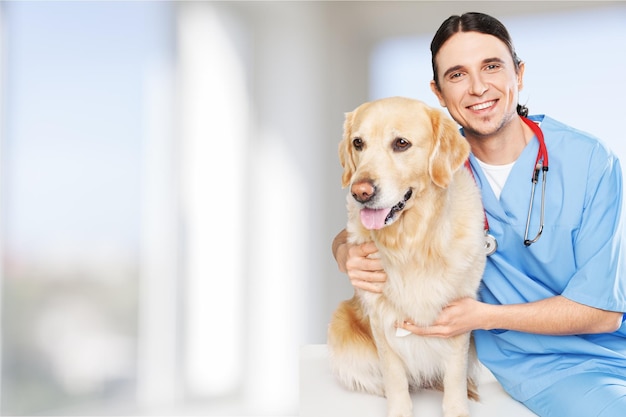 Bella giovane veterinaria con un cane