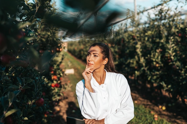 Photo beautiful young woman agronomist working in apple orchard.