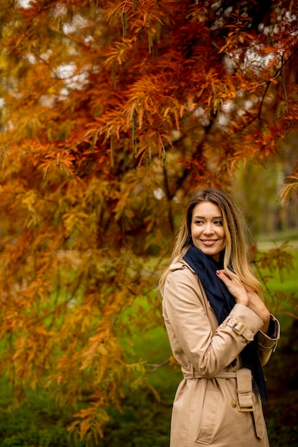 Beautiful young woman in autumn park