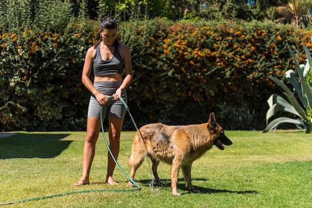 Beautiful young woman hosing down her pet sheepdog in the garden of her home on a sunny day