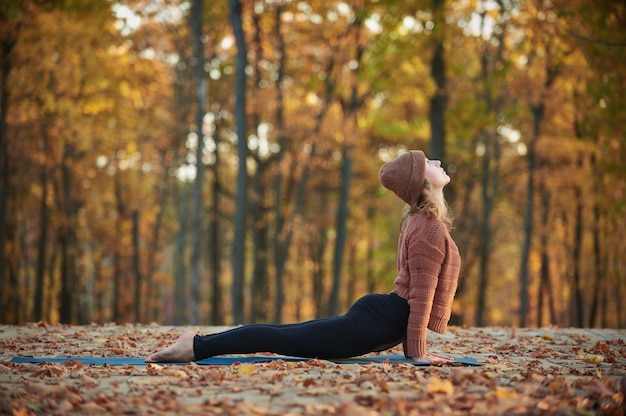 Красивая молодая женщина практикует asana йоги вверх смотря на собаку на деревянной палубе в парке осени.