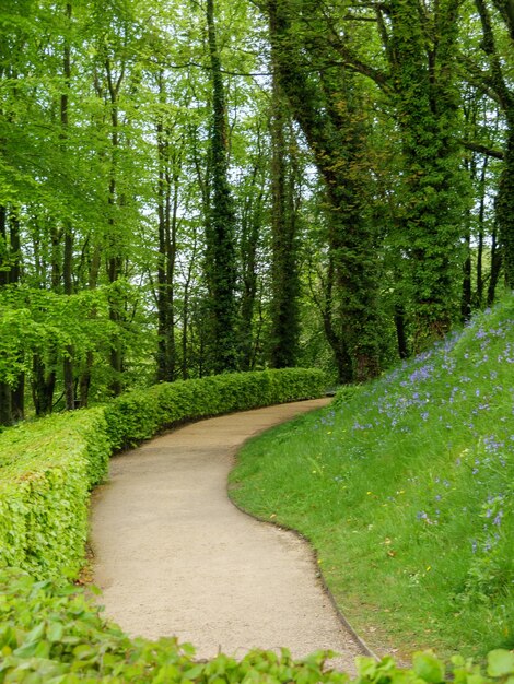 Photo beautifull garden in england