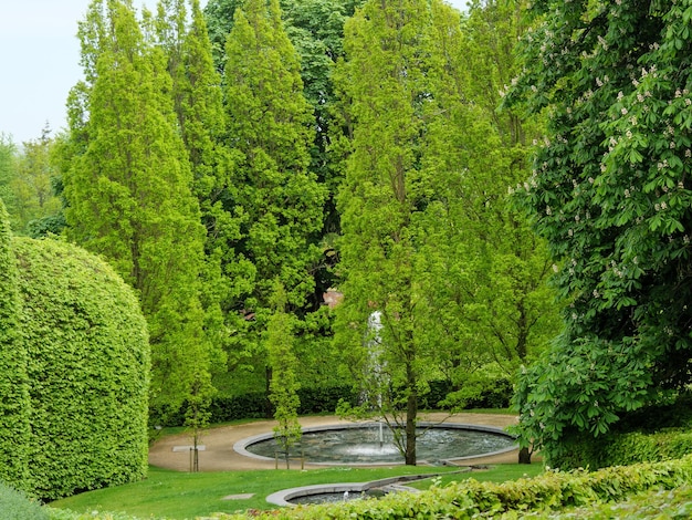 Photo beautifull garden in england