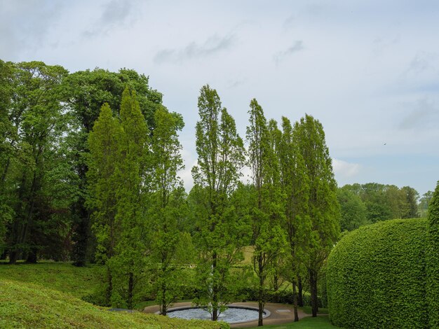 Photo beautifull garden in england