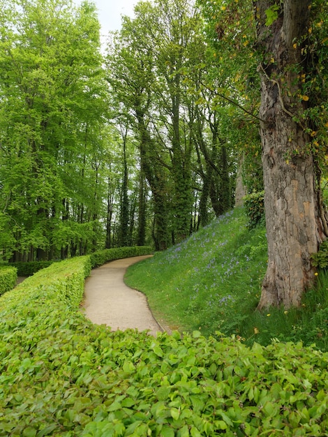 Photo beautifull garden in england