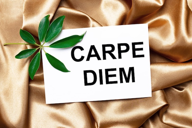 On beautifully curved golden silk lies a schefflera sheet and a white card with the text CARPE DIEM