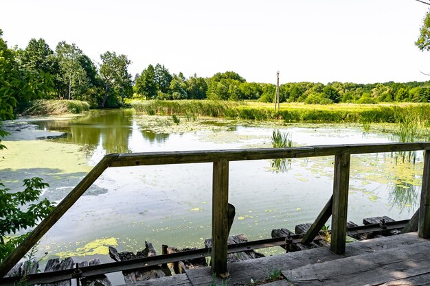 色付きの背景で川にかかる古い木製の橋が美しく立っているクローズ アップ写真自然野生公園の川にある葉の古い木製の橋で構成される写真