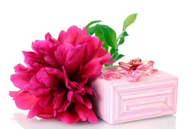 Beautirul roze geschenk en pioen bloem geïsoleerd op wit