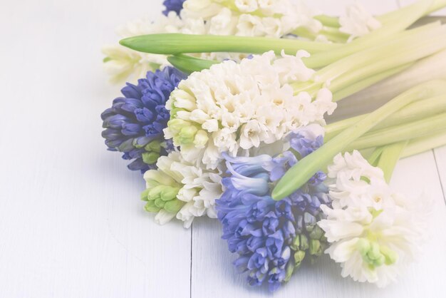 Фото beautufil hyacinth blue and white hyacinths toned white flowers background horizontal