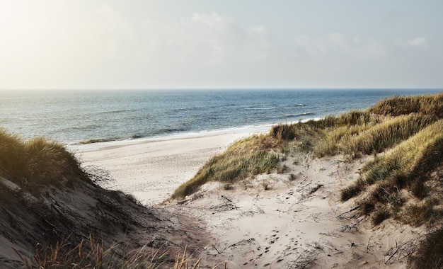 The beauty of the beach Still life shot of a beach landscape