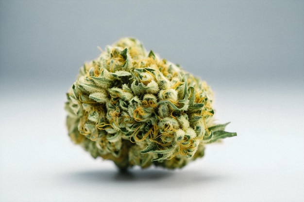 The Beauty of Cannabis A Stunning CloseUp of a Sativa Bud on a White Background