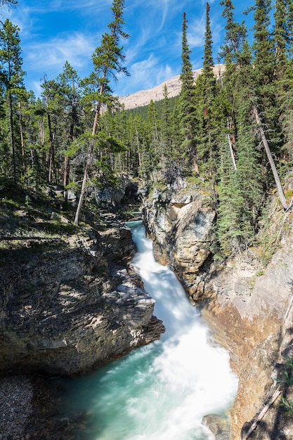 Beauty Creek Canyon Falls bij Jasper Canada