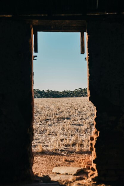 The Beauty of Deserts Deserting Your Way to Success