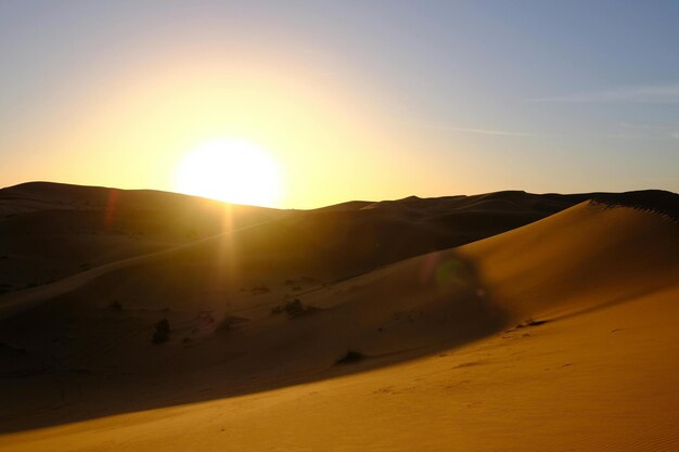 The Beauty of Deserts Deserting Your Way to Success