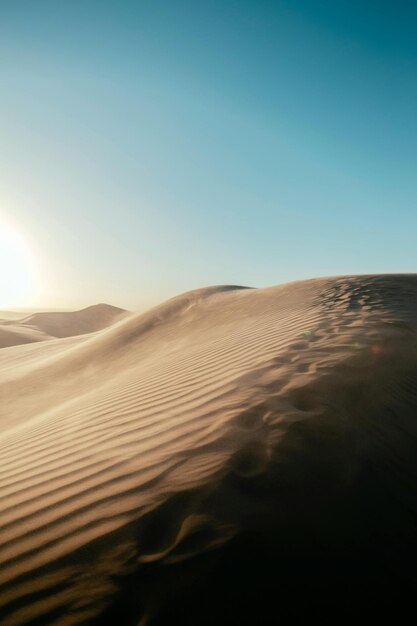 The Beauty of Deserts Deserting Your Way to Success