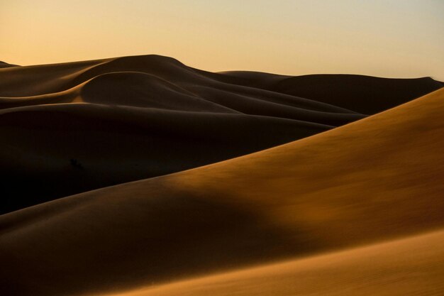 The Beauty of Deserts Deserting Your Way to Success