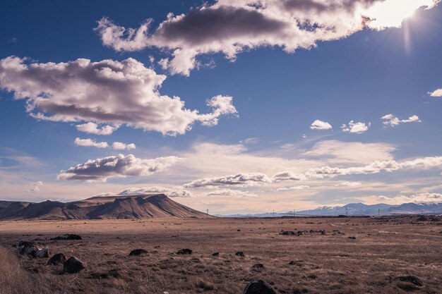 Photo the beauty of deserts deserting your way to success