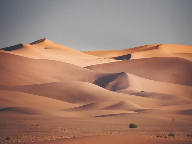 The Beauty of Deserts Deserting Your Way to Success