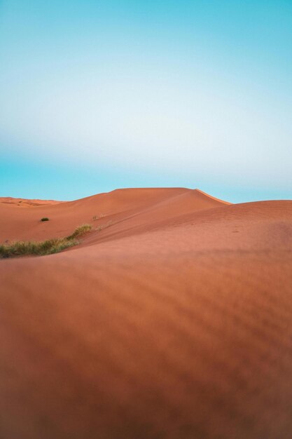 The Beauty of Deserts Deserting Your Way to Success