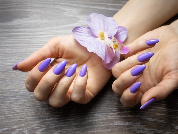 Beauty elegant female hands with french manicure