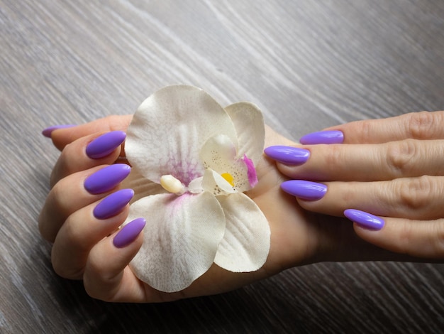 Bellezza mani femminili eleganti con manicure francese