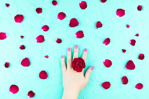 Foto le mani di bellezza con i fiori di trucco