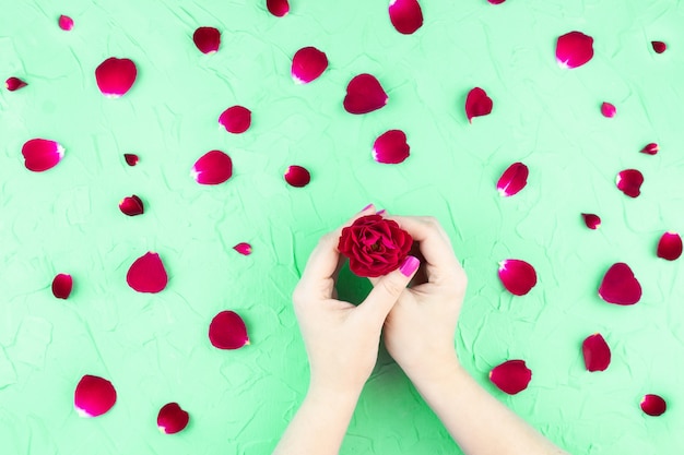 Beauty hands with makeup flowers