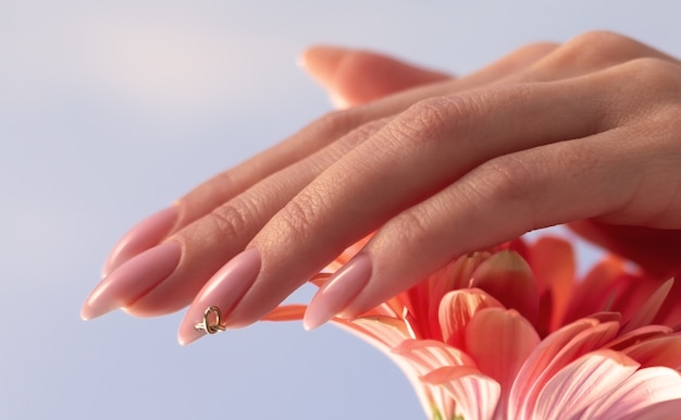 Photo beauty nail care. delicate hands with manicure holding a pink petals close up. beautiful nails close-up, great idea for the advertising of cosmetics