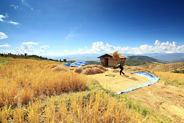 Ban Pa Bong Piang 마을의 자연의 아름다움, Mae Chaem District, Chiang Mai Province, Thailand