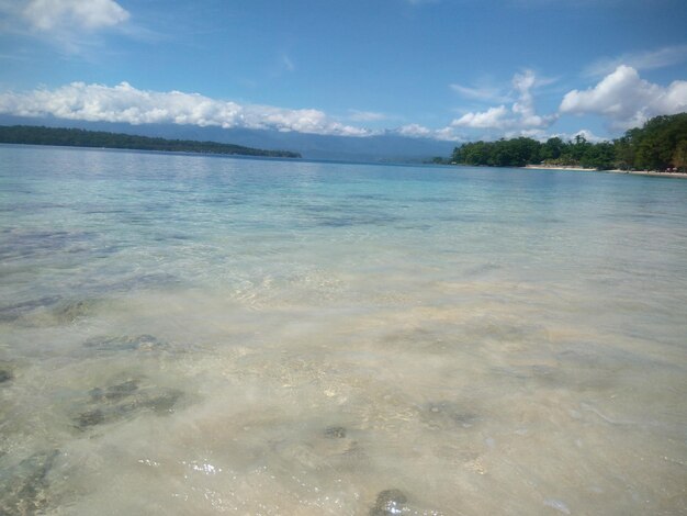 Photo the beauty of paradise pasir putih beach