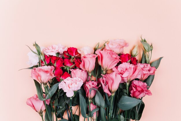 Photo beauty pink eustoma flower isolated