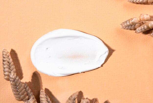 The beauty product is white on a beige background with a dry plant top view Body care cosmetic