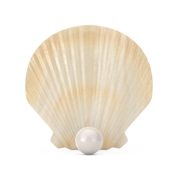 Beauty Scallop Sea or Ocean Shell Seashell with Pearl on a white background. 3d Rendering