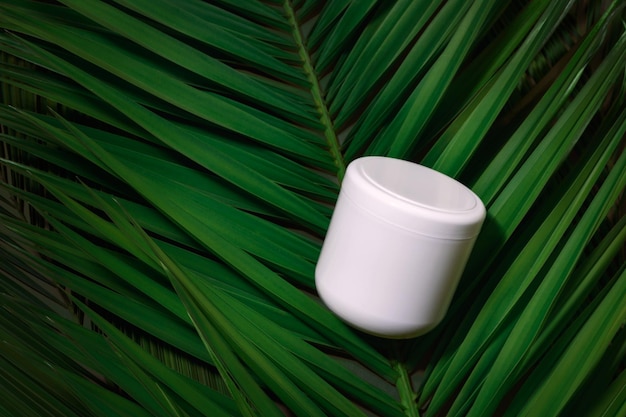 Beauty skincare cosmetic hair conditioner mockup cream lotion white bottle pakage on tropical palm leaves background