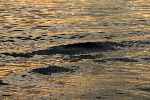 美しさ夏のビーチ海または海の自然風光明媚な海の風景穏やかな海の水