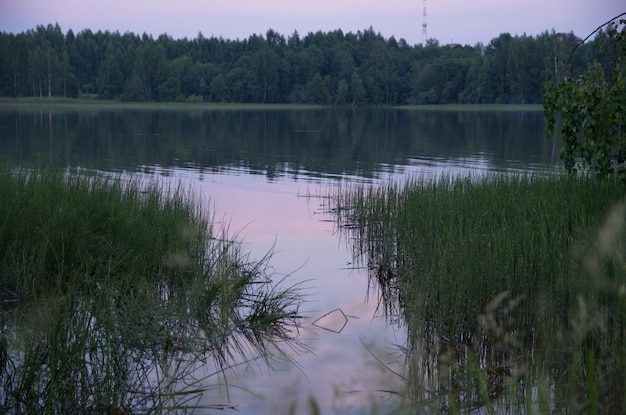 красота летнего пейзажа