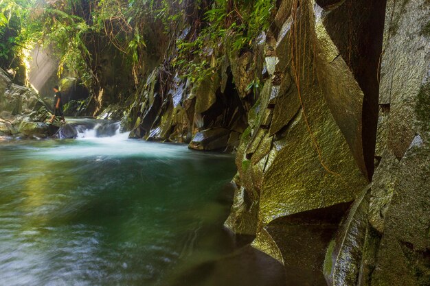 The beauty of tropical forests with waterfalls in the morning in Indonesia