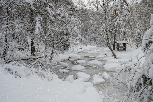 雪の下で美しい木々と川のある美しい冬の風景