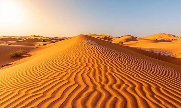 Beautyful Sahara desert at Morrocco