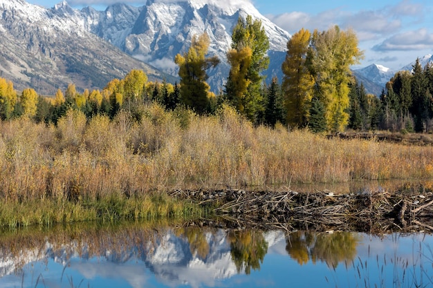 Beaver Dam bij Schwabachers Landing