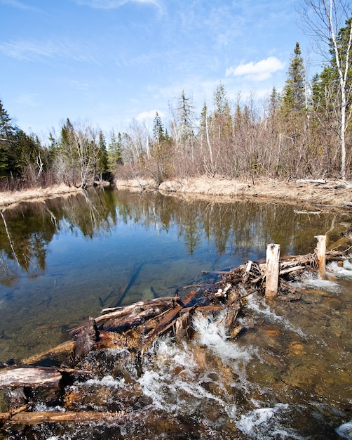 Beaver Dam