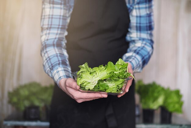 Bebaarde man in schort en handschoenen houdt een kom verse groene salade vast