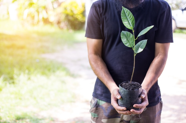 Foto bebossing voor het maken van een groen bos