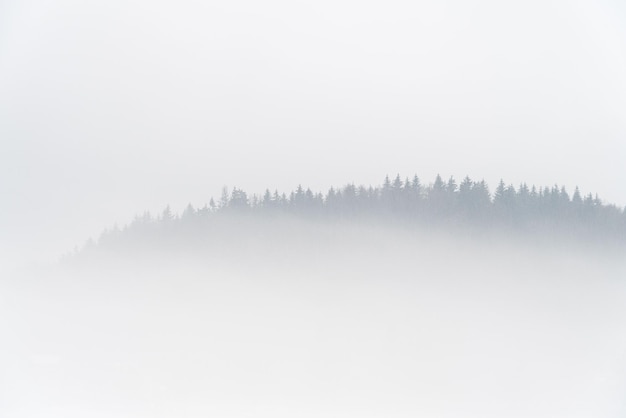 Beboste berg bedekt met mist minimalistische achtergrond