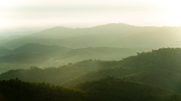 Beboste berghelling in laag liggende wolk met de groenblijvende coniferen gehuld in mist in een schilderachtige landschapsmening