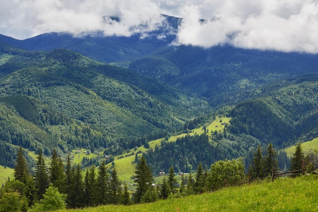 Beboste glooiende heuvel op een bewolkte dag prachtig natuurlandschap van bergachtig landschap